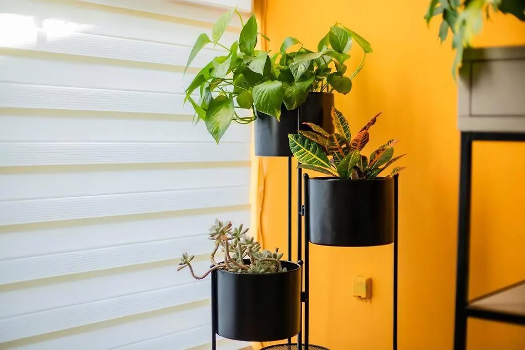 Casa Barlovento A 3 Cuadras De Expo Gdl Apartamento Guadalajara México